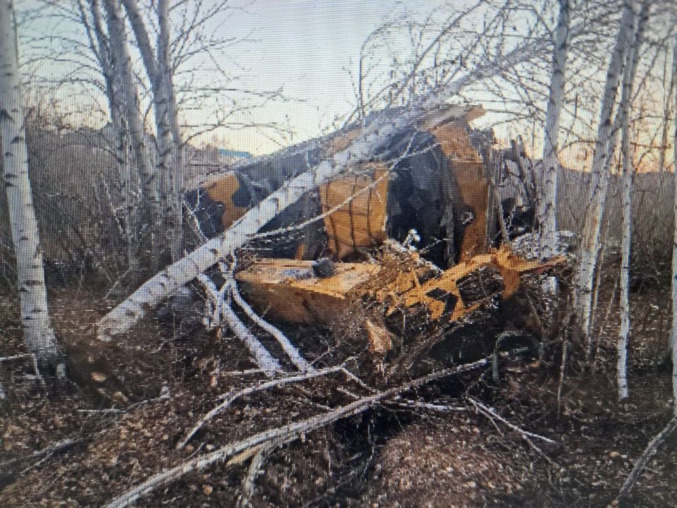 29       &quot;-&quot;, 1  (- )         ,       ...