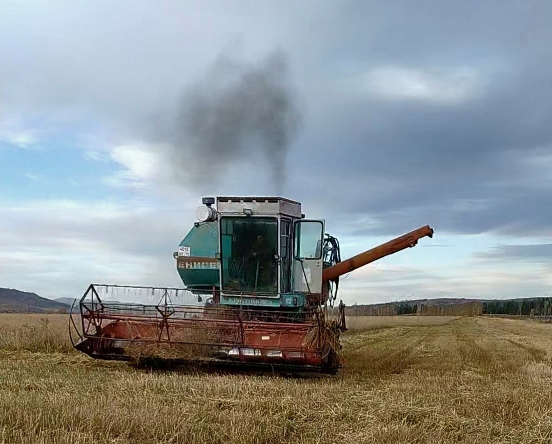Фермер Алексей Крылов из Петровск-Забайкальского округа развивает семейное дело благодаря господдержке Фермер Алексей Крылов из Петровск-Забайкальского округа развивает семейное дело благодаря господдержке