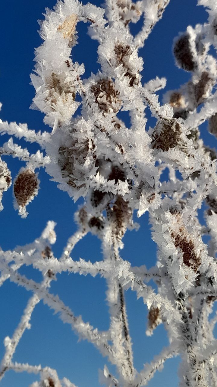 Доброе утро, Забайкалье! Сегодня – четверг, 30 октября Доброе утро, Забайкалье! Сегодня – четверг, 30 октября