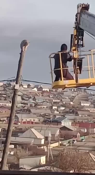 Целую спасательную операцию по снятию рыси со столба провели в Забайкалье