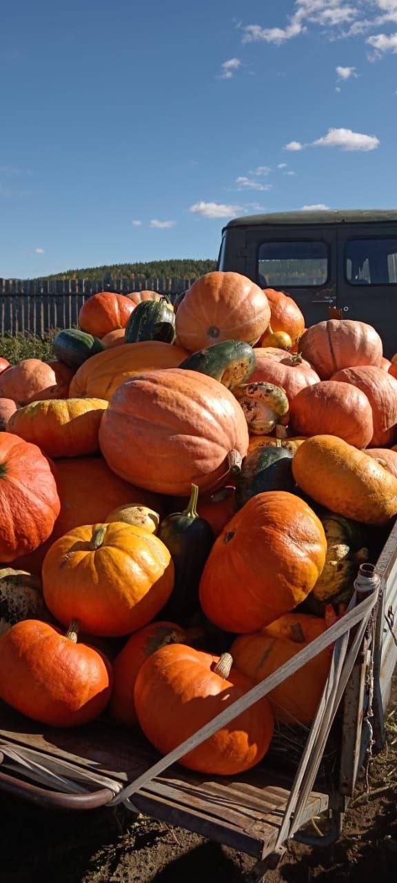 Победитель конкурса фотографий урожая забрал свой приз Победитель конкурса фотографий урожая забрал свой приз