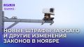 Что ждать россиянам в ноябре: новые правила и законы, меняющие повседневность