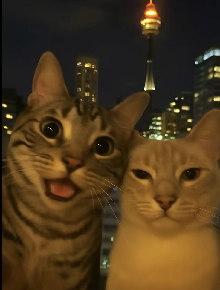 Туристический налог введут в Чите с 2026 года