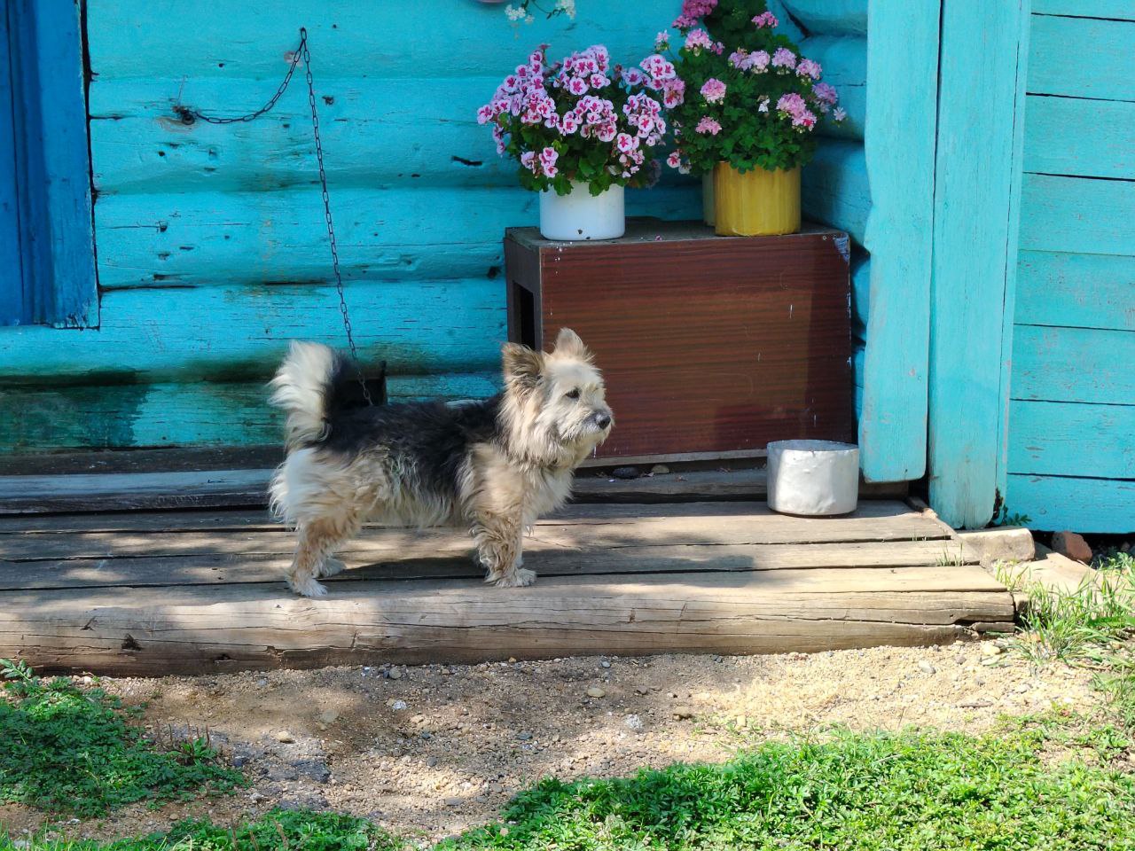 Доброе утро, Забайкалье! На календаре 31 октября — пятница