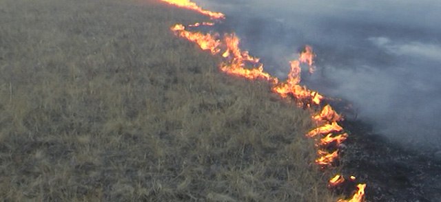 Забайкалец устроил пожар, выбросив золу в поле
