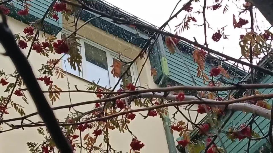 А снег идет.... Зима становится все ближе — в Чите такая красота