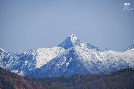 Доброе прекрасное. Желаем вам хорошо отдохнуть и отлично провести выходные дни! Фото: тг-канал «Заповедное Подлеморье» @zabrtk | Мы в MAX