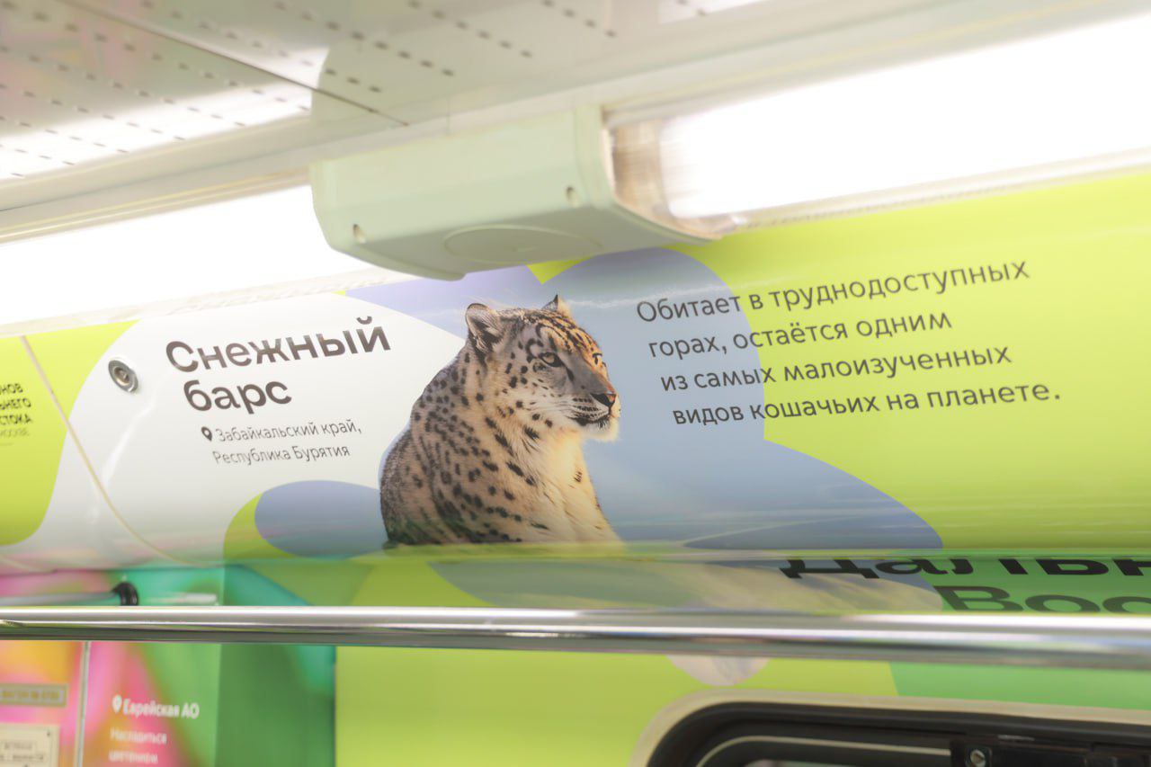 Прокатиться по Забайкалью можно на московском метро