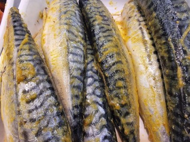 Как вкусно и быстро засолить скумбрию: 10 простых, но эффективных способов