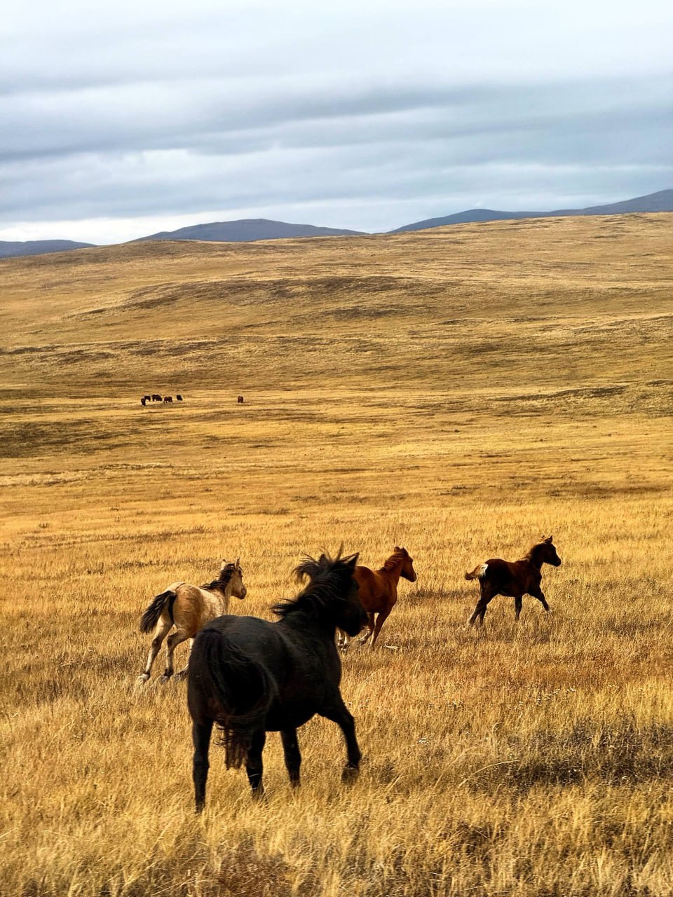 Доброе утро, жители Забайкалья! Сегодня 5 ноября — среда