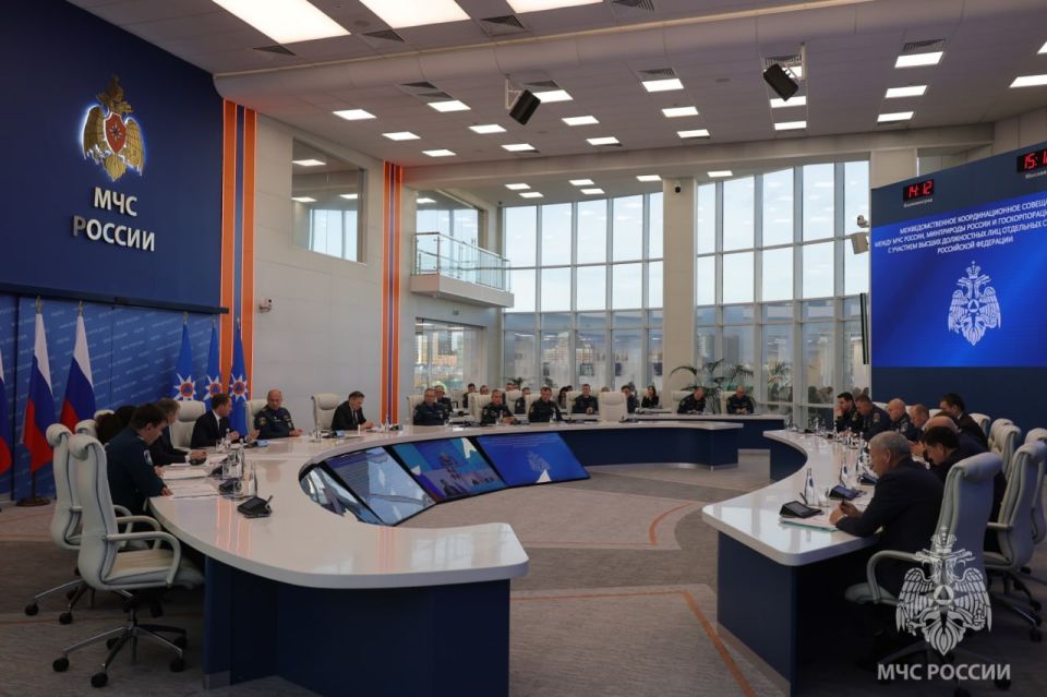 МЧС России и Минприроды поддерживают создание 100-метровых противопожарных полос между зданиями и лесными насаждениями