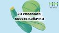 Кабачки: секреты их удивительного вкуса и пользы для здоровья