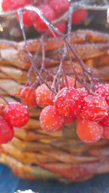 Доброе утро, Забайкалье! Сегодня 6 ноября, четверг