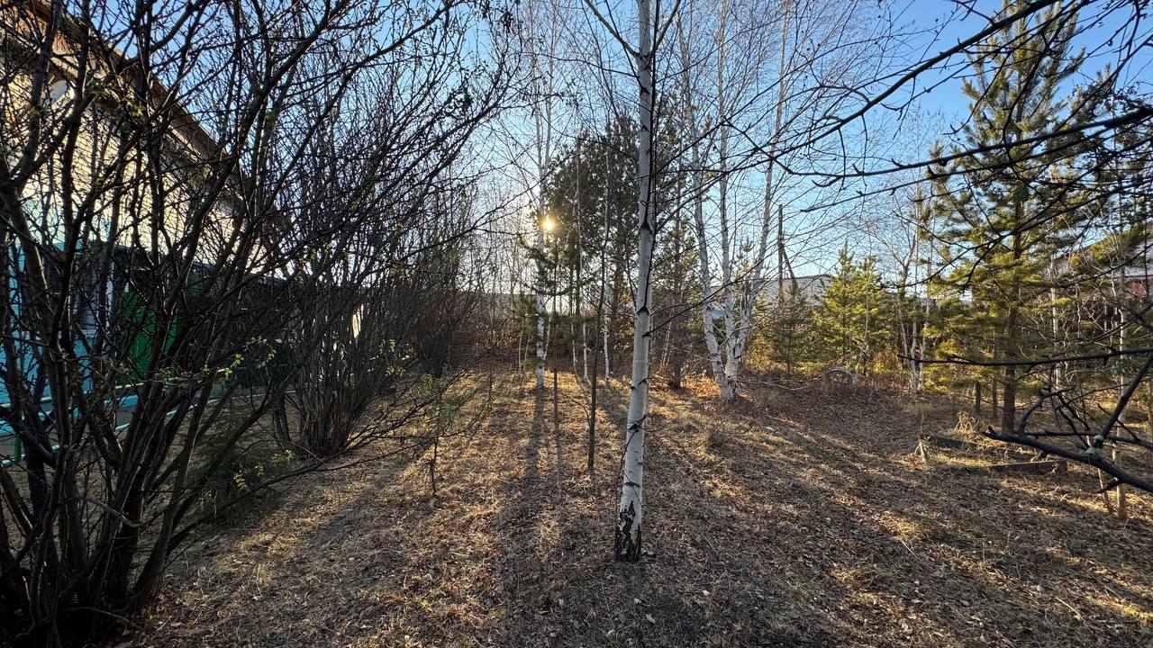 Пожарные в Забайкалье создали живой символ службы Пожарные в Забайкалье создали живой символ службы