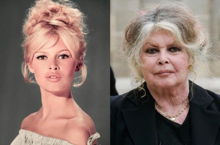 Секреты счастья для женщин после 50: Перспективы от Брижит Бардо