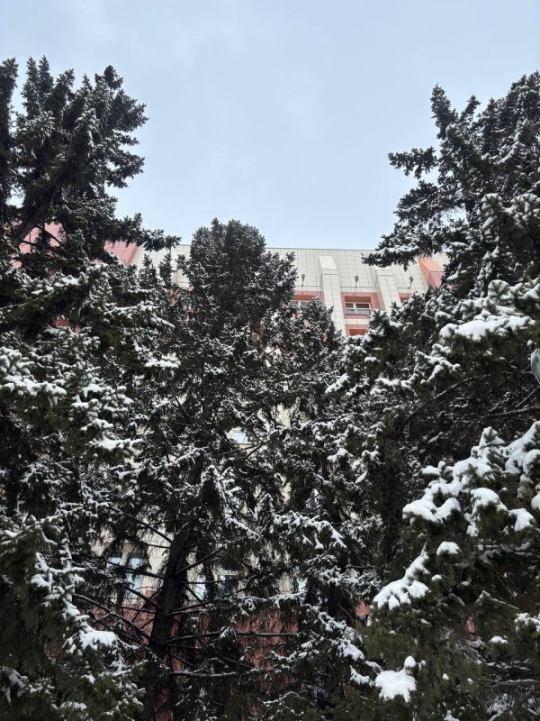 Чита преобразилась в зимнюю сказку