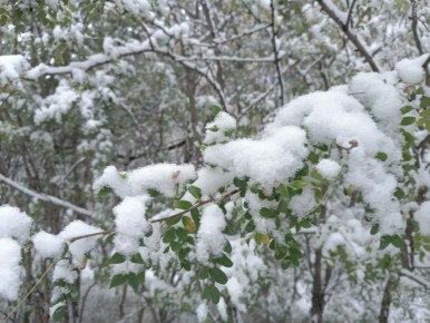 Доброе утро, Забайкалье! Встречаем субботу, 8 ноября