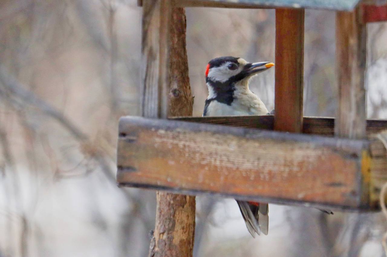 Доброе утро, Забайкалье! На календаре 9 ноября, воскресенье