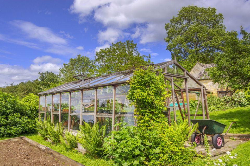 Как защитить теплицу от летней жары: шесть креативных способов