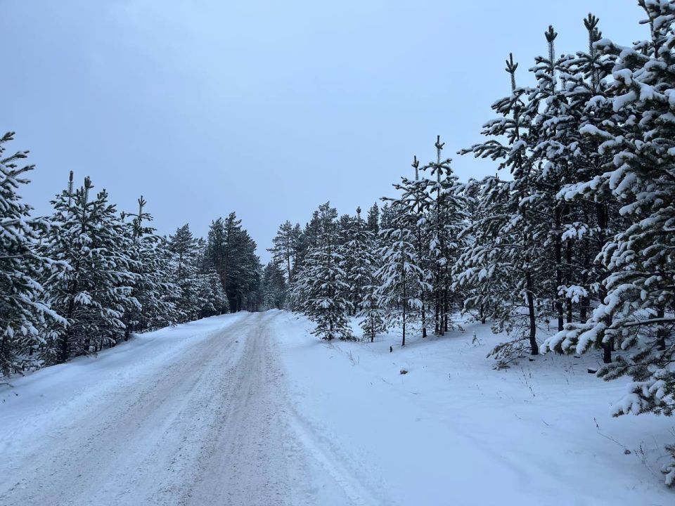 Всем доброе утро! На календаре середина рабочей недели! Новый год стремительно приближается