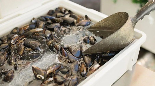 Советы по чистке мидий