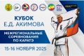 С 15 по 16 ноября выходные состоятся традиционные межрегиональные соревнования по каратэ «Кубок Е.Д. Акимова»
