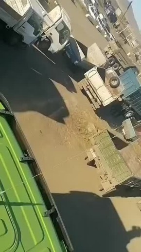 Режим ЧС ввели в Кулусутае из-за болезни скота