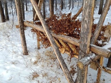 Заказники Забайкалья заготовили сорок тонн сена и закупили кормовую соль для обитателей охраняемых природных территорий
