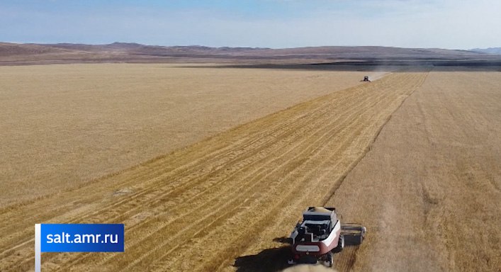 Забайкальских аграриев приглашают поучаствовать в конкурсе руководителей «Соль земли»