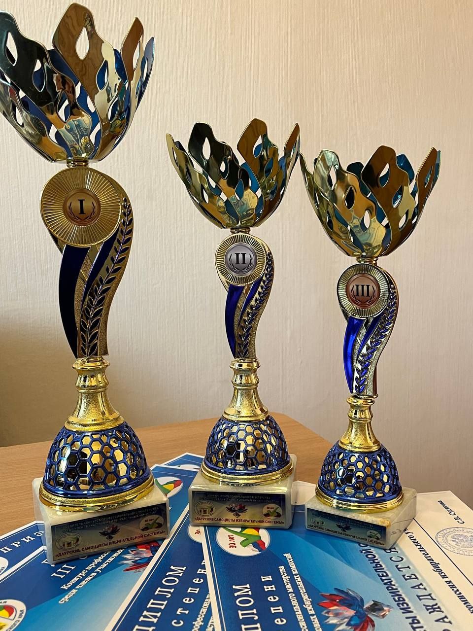 Продолжаем освещать ход нашего Конкурса профессионального мастерства среди членов участковых избирательных комиссий Забайкальского края «Даурские самоцветы избирательной системы»! Продолжаем освещать ход нашего Конкурса профессионального мастерства среди членов участковых избирательных комиссий Забайкальского края «Даурские самоцветы избирательной системы»!