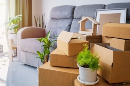 Государственная поддержка ипотеки: что это значит для российских семей в 2025 году?