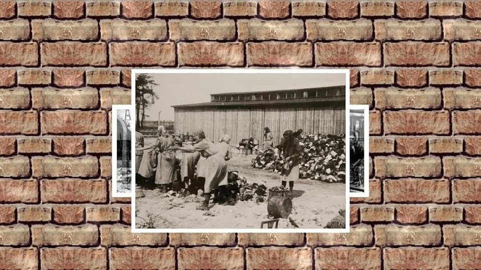 Исторический проект читинских школьников стал призером федерального этапа конкурса «Без срока давности»