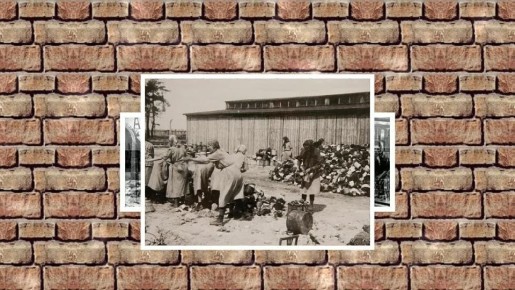 Исторический проект читинских школьников стал призером федерального этапа конкурса «Без срока давности»