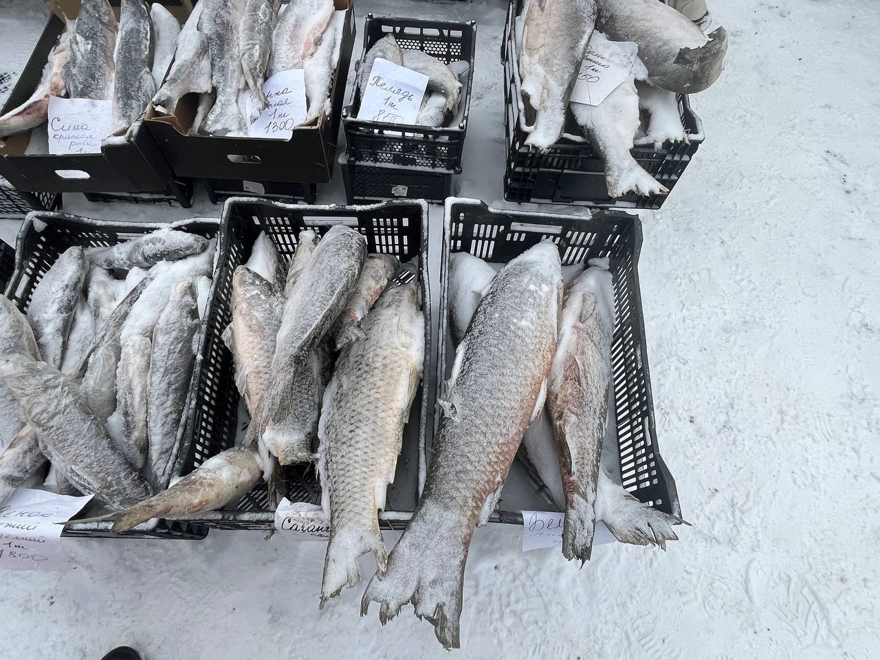 Традиционная субботняя ярмарка выходного дня работает сегодня на площади Революции Традиционная субботняя ярмарка выходного дня работает сегодня на площади Революции