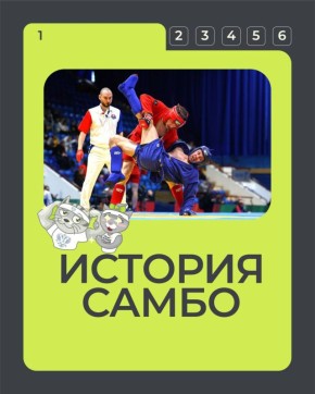 16 ноября, знаменательный день — День самбо!