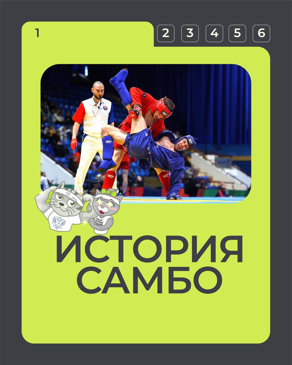 16 ноября, знаменательный день — День самбо!