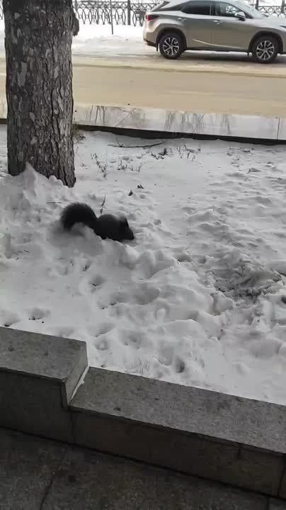 Доброе утро, забайкальцы!. Сегодня ожидается сильный ветер 15–20 м/с