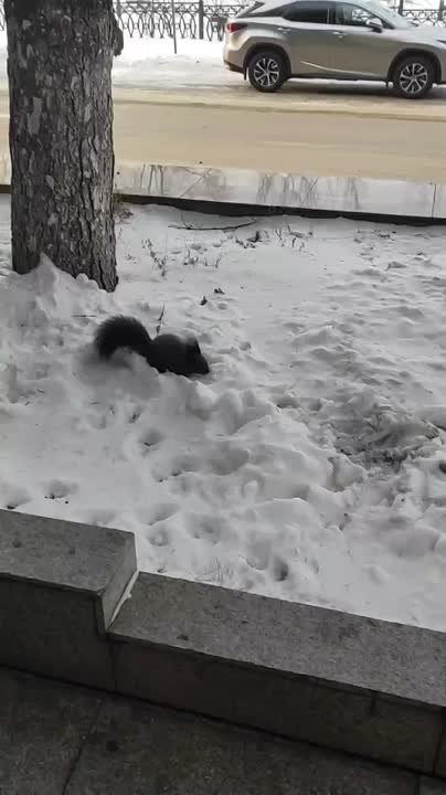 Доброе утро, забайкальцы!. Сегодня ожидается сильный ветер 15–20 м/с