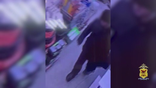 Сотрудники полиции раскрыли кражу денежных средств у продавца магазина в Краснокаменске