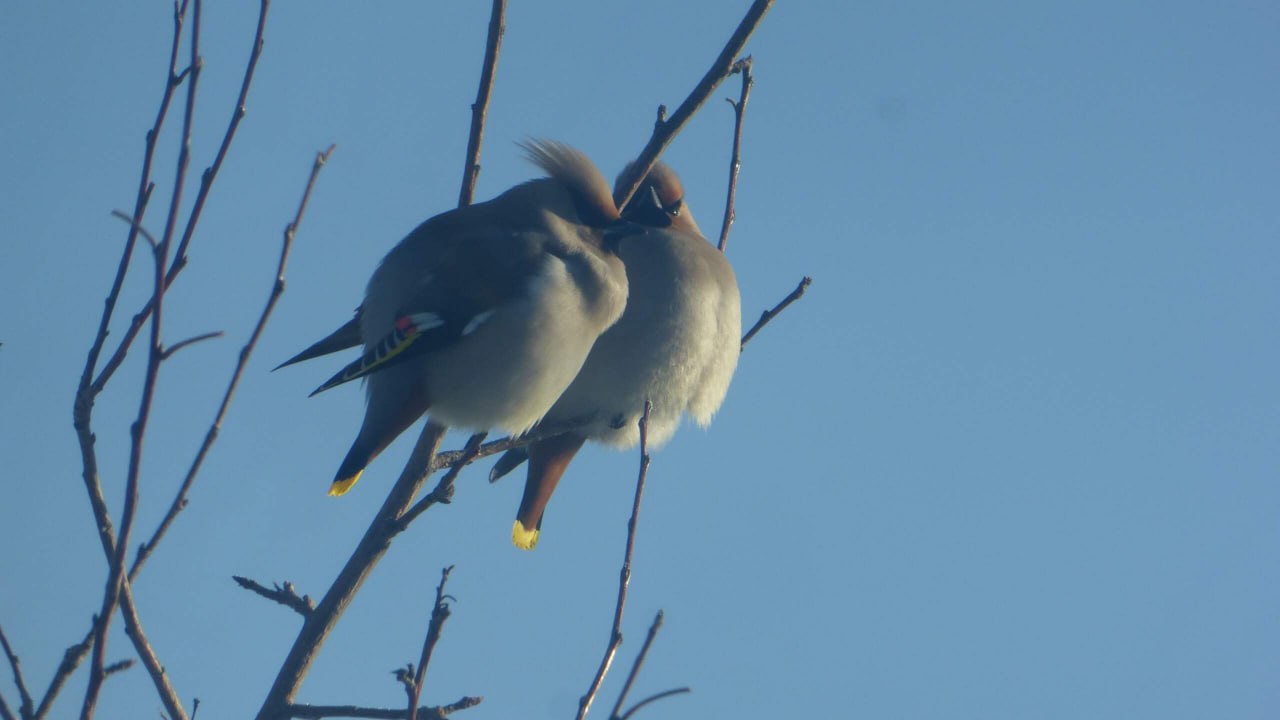 Доброе утро, Забайкалье! Сегодня – среда, 19 ноября Доброе утро, Забайкалье! Сегодня – среда, 19 ноября