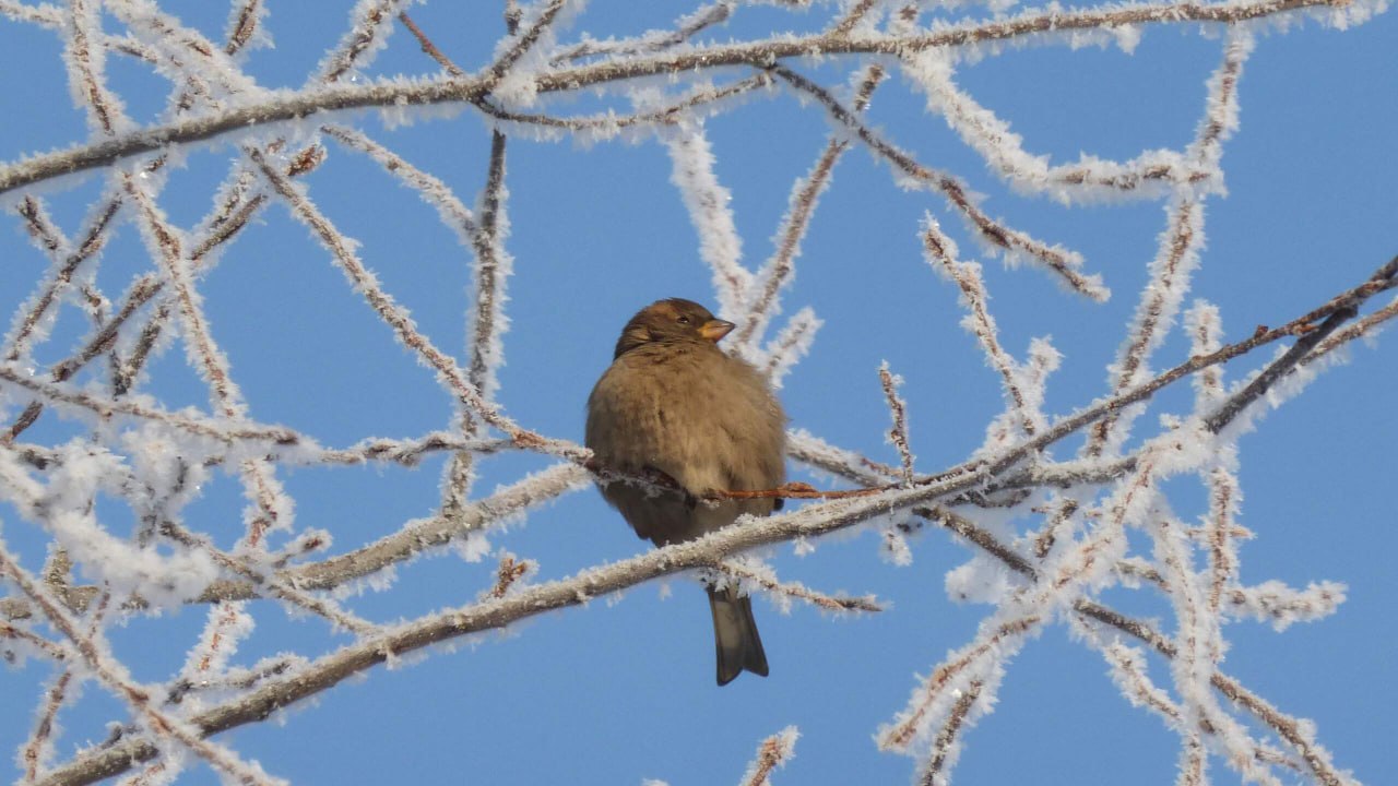 Доброе утро, Забайкалье! Сегодня – среда, 19 ноября Доброе утро, Забайкалье! Сегодня – среда, 19 ноября