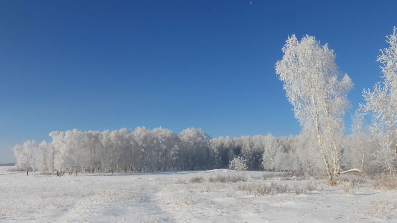 Доброе утро, Забайкалье! Сегодня – среда, 19 ноября Доброе утро, Забайкалье! Сегодня – среда, 19 ноября
