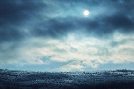 Доброе утро. Сегодня нас ждёт ветер до 20 м/с, но несмотря на это мы надеемся, что этот день принесёт вам только добро Фото: тг-канал «По диким степям»/Евгения Литвинцева @zabrtk | Мы в MAX