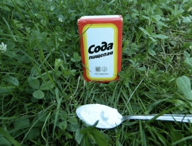 Как простая пищевая сода может преобразить ваш огород: 8 эффективных способов