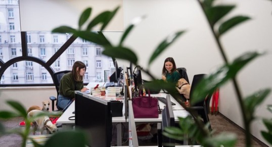 Новые инициативы в Госдуме: Трудовые гарантии для женщин и семей с детьми