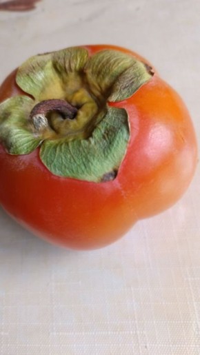 Откройте для себя хурму «Ромашка»: сладость, которая заботится о вашем здоровье