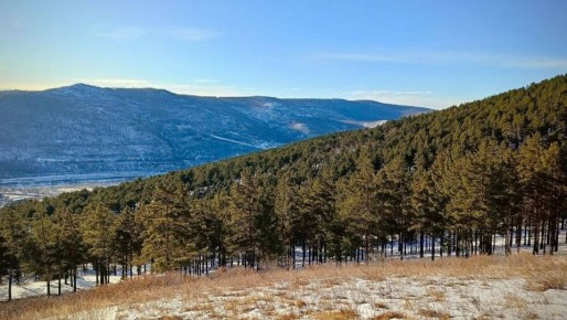 Доброе утро, забайкальцы! Сегодня вторник, 25 ноября