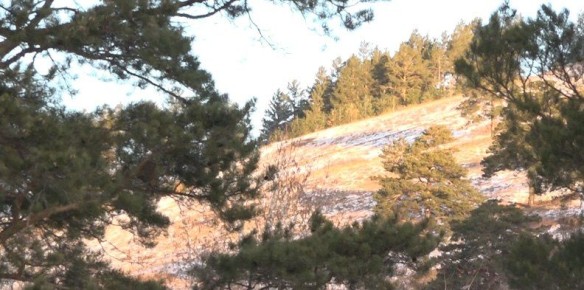 Забайкальский край – лидер среди регионов ДФО по строительству спортзалов и созданию экотроп