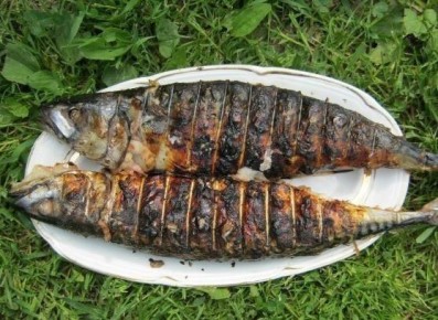 Секреты шашлыка из скумбрии