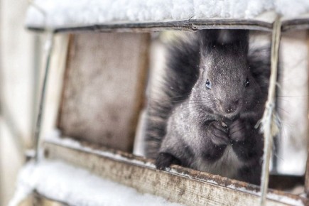 Доброе утро, Забайкалье! На календаре суббота – 29 ноября